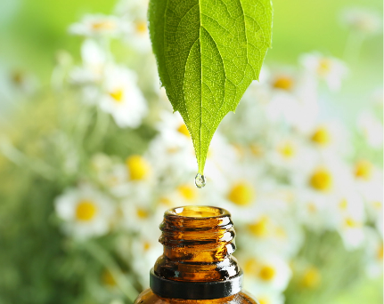CARE-CAE - bannière approche naturopathie pratique naturopathie